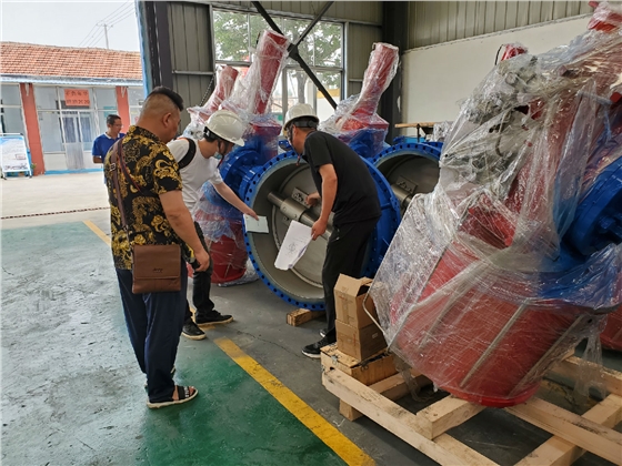 偉恒閥門順酐蝶閥驗(yàn)收