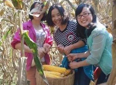 2.掰玉米人員25名，要求至少1年工作經(jīng)驗(yàn)，手腕有勁手指靈活，拉呱時(shí)候能不耽誤干活，皮糙肉厚者優(yōu)先：