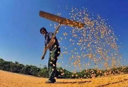 4.三輪車駕駛員2名，要求三年以上駕駛經(jīng)驗(yàn)，有大車B證者優(yōu)先：